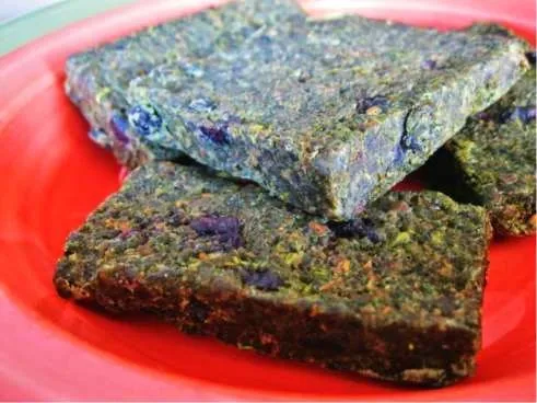 Homemade pemmican bars made from dried meat, fat and berries